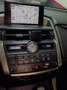 Lexus NX 300 300h Business Navigation 2WD Blanco - thumbnail 20