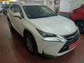 Lexus NX 300 300h Business Navigation 2WD Blanco - thumbnail 8