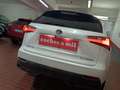Lexus NX 300 300h Business Navigation 2WD Blanco - thumbnail 36