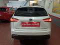 Lexus NX 300 300h Business Navigation 2WD Blanco - thumbnail 35