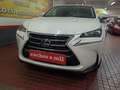 Lexus NX 300 300h Business Navigation 2WD Blanco - thumbnail 4