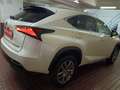 Lexus NX 300 300h Business Navigation 2WD Blanco - thumbnail 43