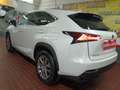 Lexus NX 300 300h Business Navigation 2WD Blanco - thumbnail 31