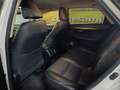 Lexus NX 300 300h Business Navigation 2WD Blanco - thumbnail 26