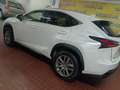 Lexus NX 300 300h Business Navigation 2WD Blanco - thumbnail 24