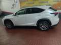 Lexus NX 300 300h Business Navigation 2WD Blanco - thumbnail 22