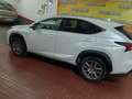 Lexus NX 300 300h Business Navigation 2WD Blanco - thumbnail 29