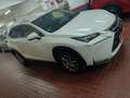 Lexus NX 300 300h Business Navigation 2WD Blanco - thumbnail 10