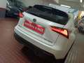 Lexus NX 300 300h Business Navigation 2WD Blanco - thumbnail 39