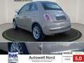 Fiat 500C 500 C 1.2 Lounge~Cabriole~Alu~Klima~Teilleder ( Br Beige - thumbnail 7