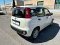 Fiat Panda 1.3 MJT 95 CV S&S Lounge Bianco - thumbnail 6