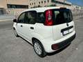 Fiat Panda 1.3 MJT 95 CV S&S Lounge Bianco - thumbnail 4