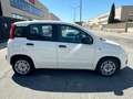 Fiat Panda 1.3 MJT 95 CV S&S Lounge Bianco - thumbnail 7