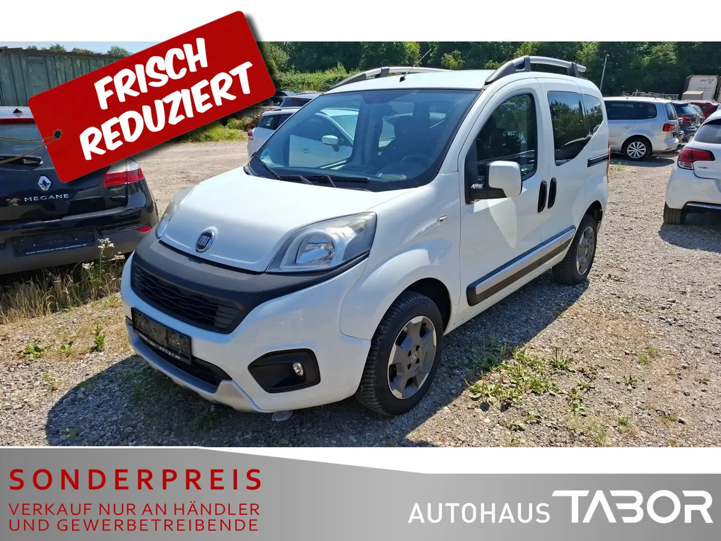 Fiat Qubo 1.3 Multijet 16V Trekking Navi SHZ GRA PDC Weiß - 2