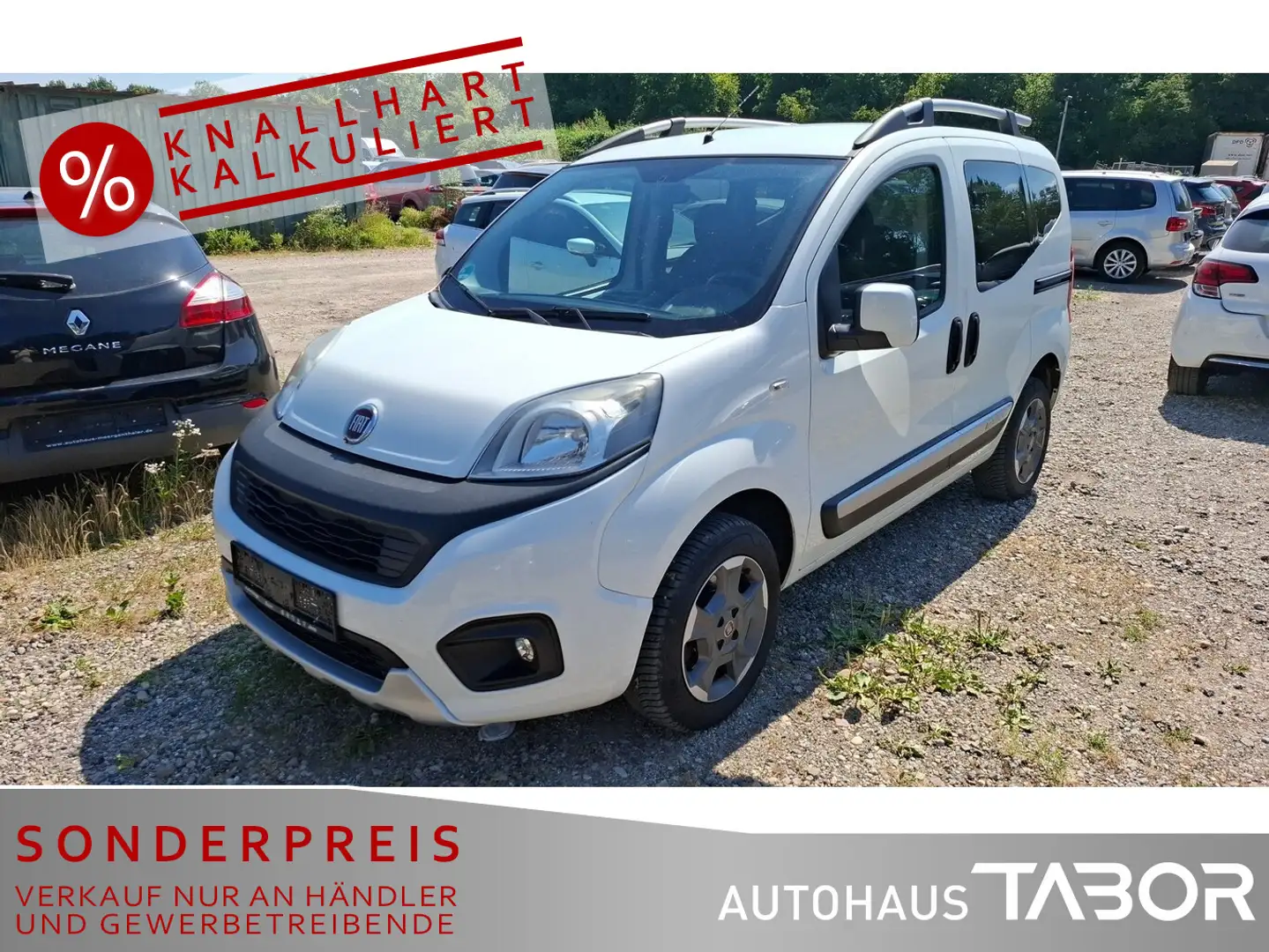 Fiat Qubo 1.3 Multijet 16V Trekking Navi SHZ GRA PDC Weiß - 2