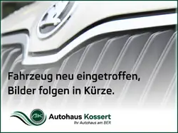 Skoda Kodiaq RS 2,0l Bi TDI 176 KW 239 PS, 7 Gang Au