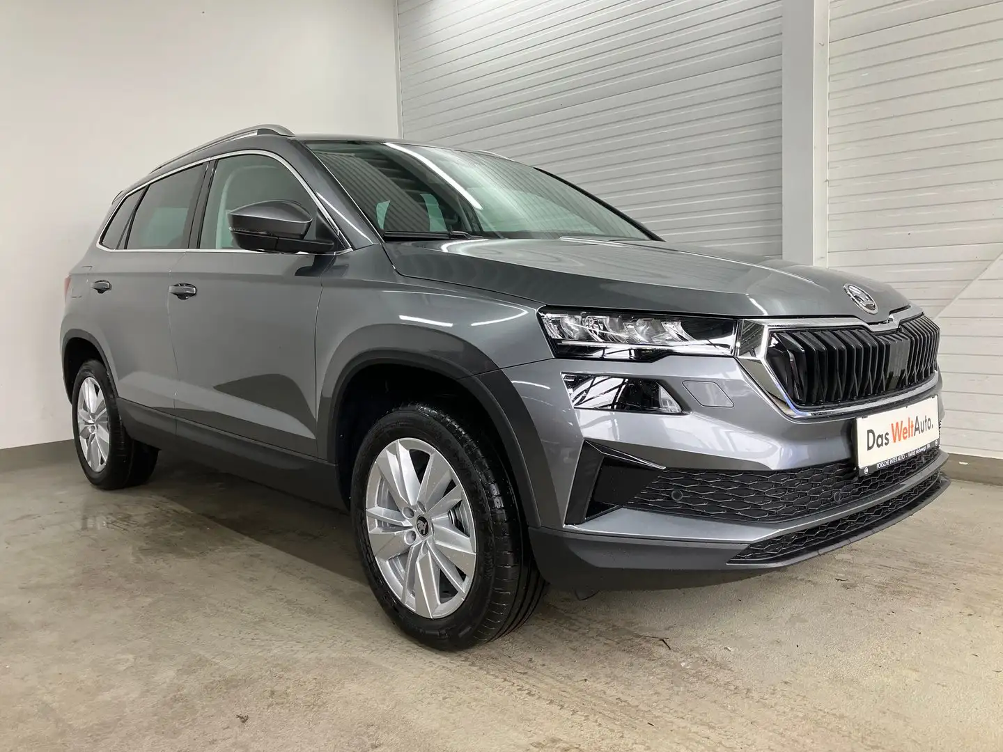 Skoda Karoq Selection TSI Grau - 1