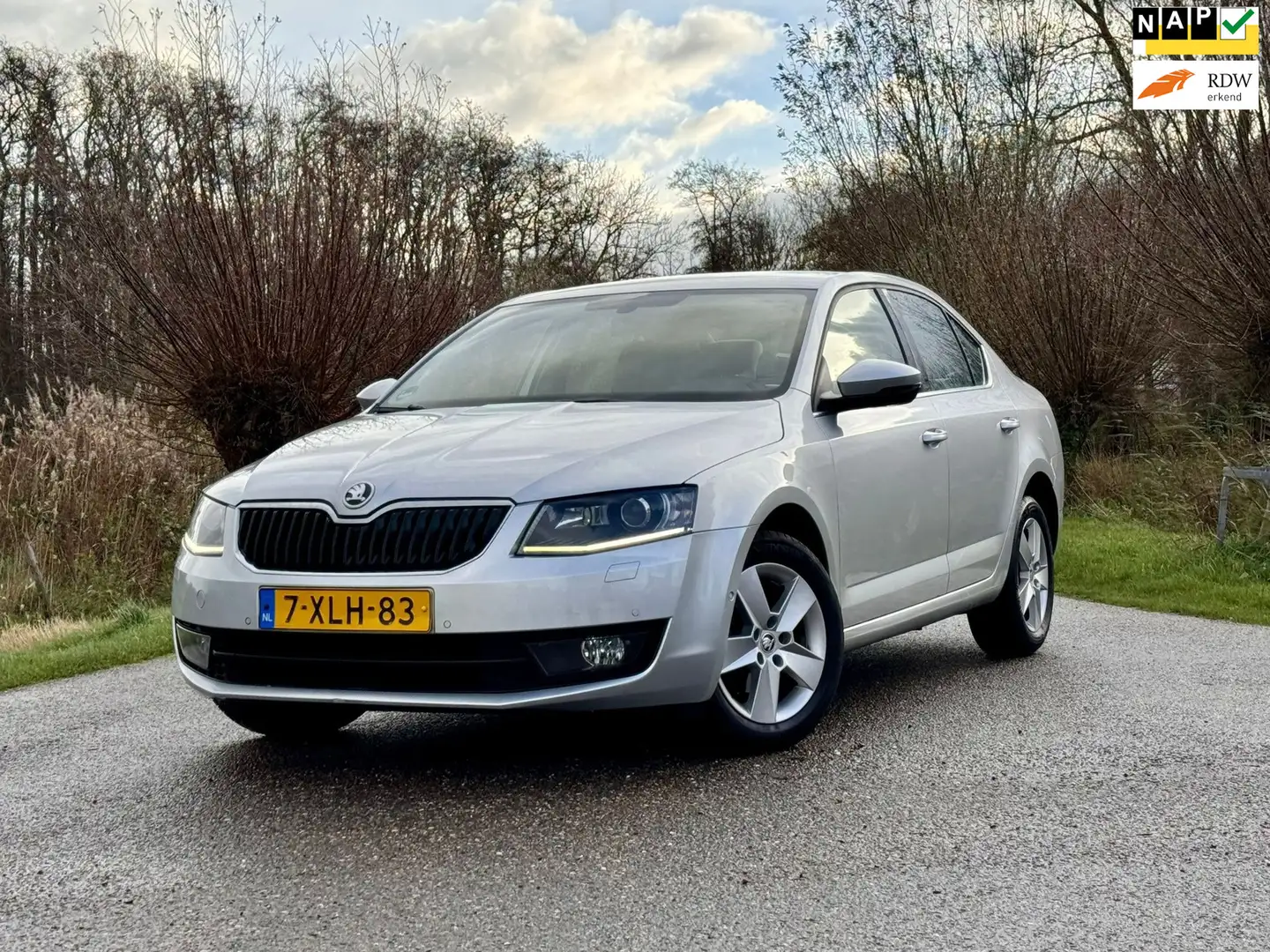 Skoda Octavia 1.2 TSI Greentech Elegance Businessline 5DRS NAVI Gri - 1