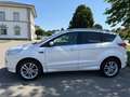 Ford Kuga 2.0 TDCi Individual AWD AHK SHG Panorama Weiß - thumbnail 3