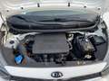 Kia Picanto 1.0 ISG Dream Team +Kam. +8fach +SHZ Blanco - thumbnail 14