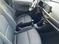 Kia Picanto 1.0 ISG Dream Team +Kam. +8fach +SHZ Blanco - thumbnail 13