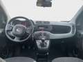 Fiat Panda Panda III 2021 1.0 firefly hybrid 70cv Gris - thumbnail 6