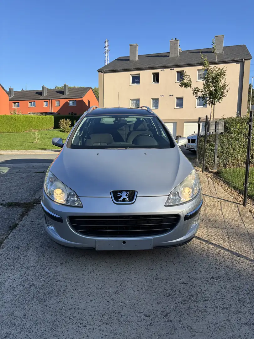 Peugeot 407 SW 2.0 HDi Executive - 1