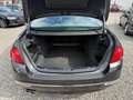 BMW 530 F10 Luxury Line Grau - thumbnail 24