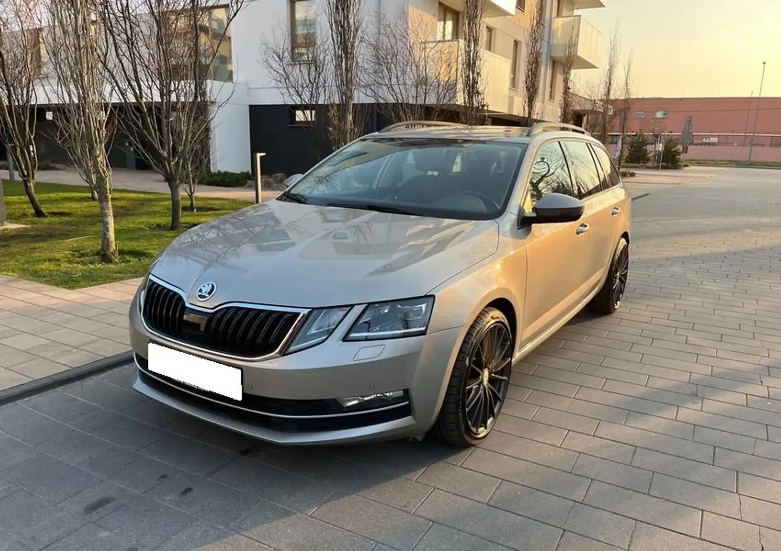 Skoda Octavia Octavia Combi 1.8 TSI (Green tec) DSGStyle Beige - 1