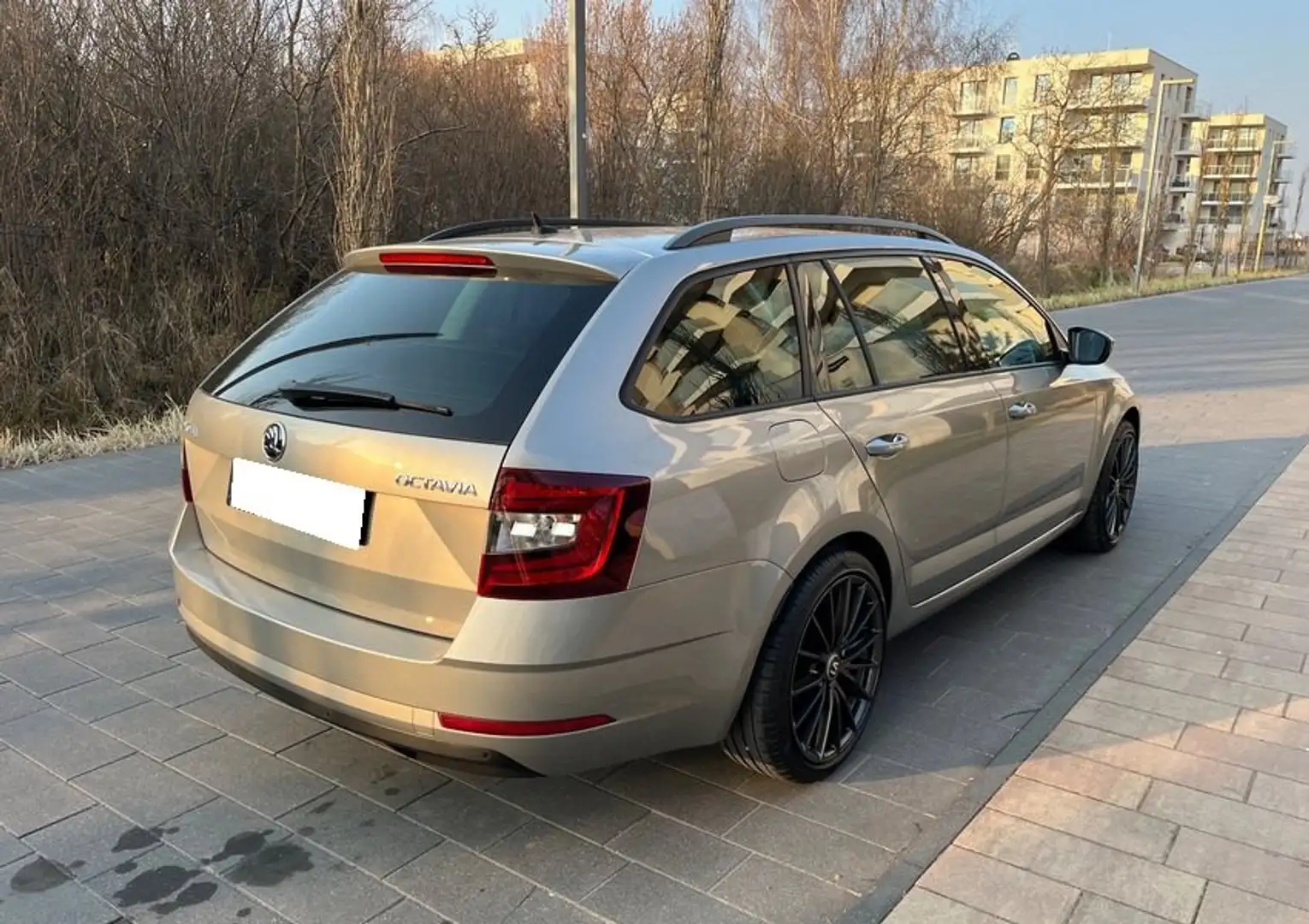 Skoda Octavia Octavia Combi 1.8 TSI (Green tec) DSGStyle Beige - 2