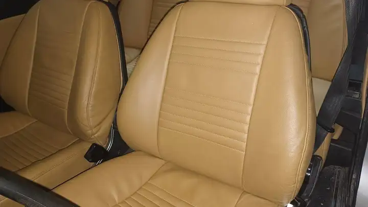 Lancia 1979, foto 28