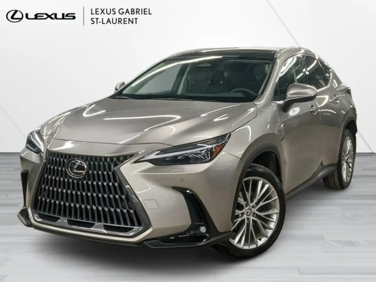 2024 Lexus NX