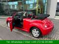 Volkswagen New Beetle Cabriolet 2.0 Freestyle Leder Rouge - thumbnail 4