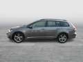 Volkswagen Golf Variant Golf VII Variant 1.6 TDI Comfortl. LED+RFK+RADAR Grau - thumbnail 6