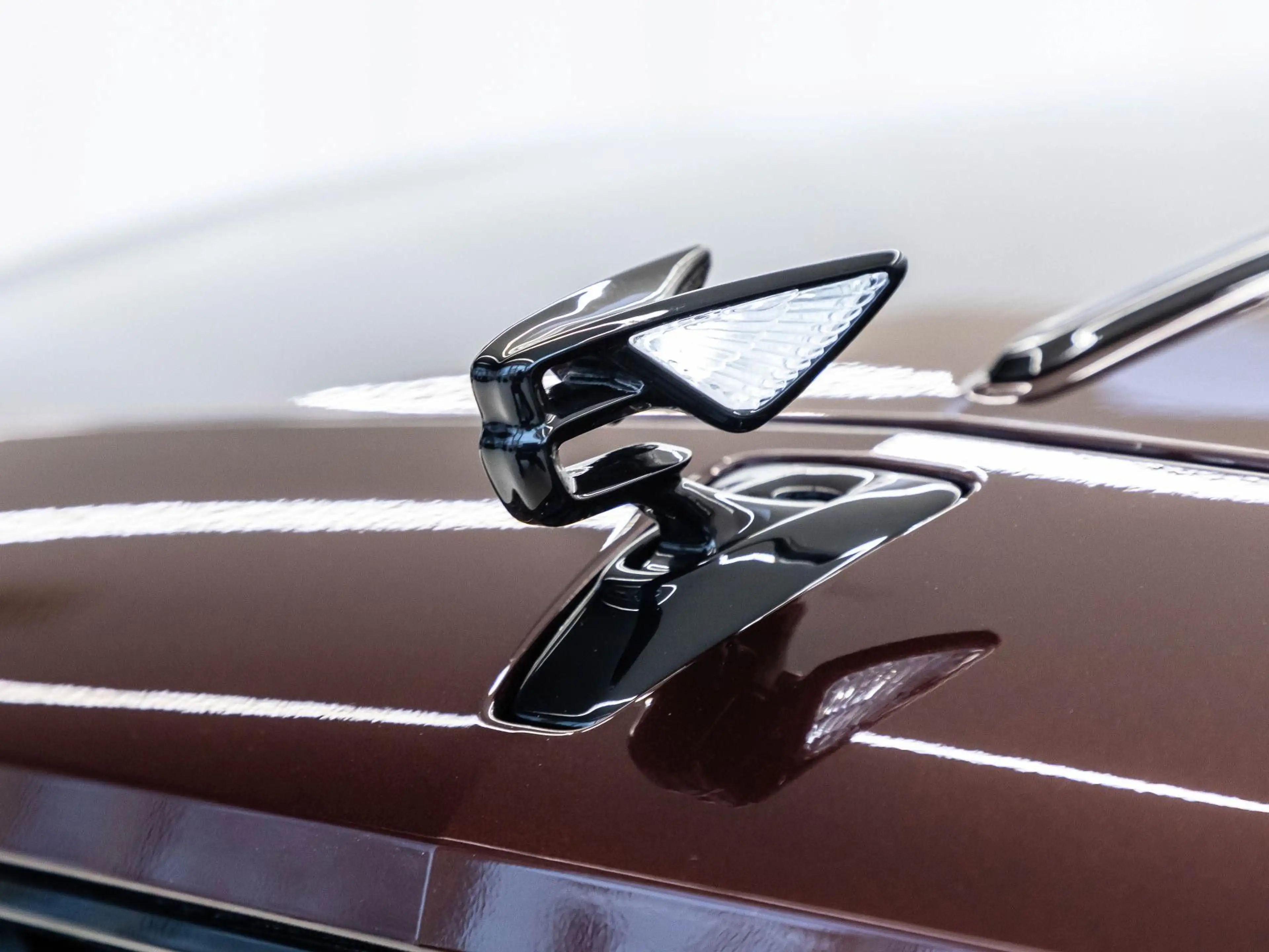 Bentley Flying Spur Speed First Edition (MY25) — photo 14