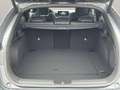 Kia ProCeed / pro_cee'd 1.5 T-GDI DCT GT-line Grau - thumbnail 8