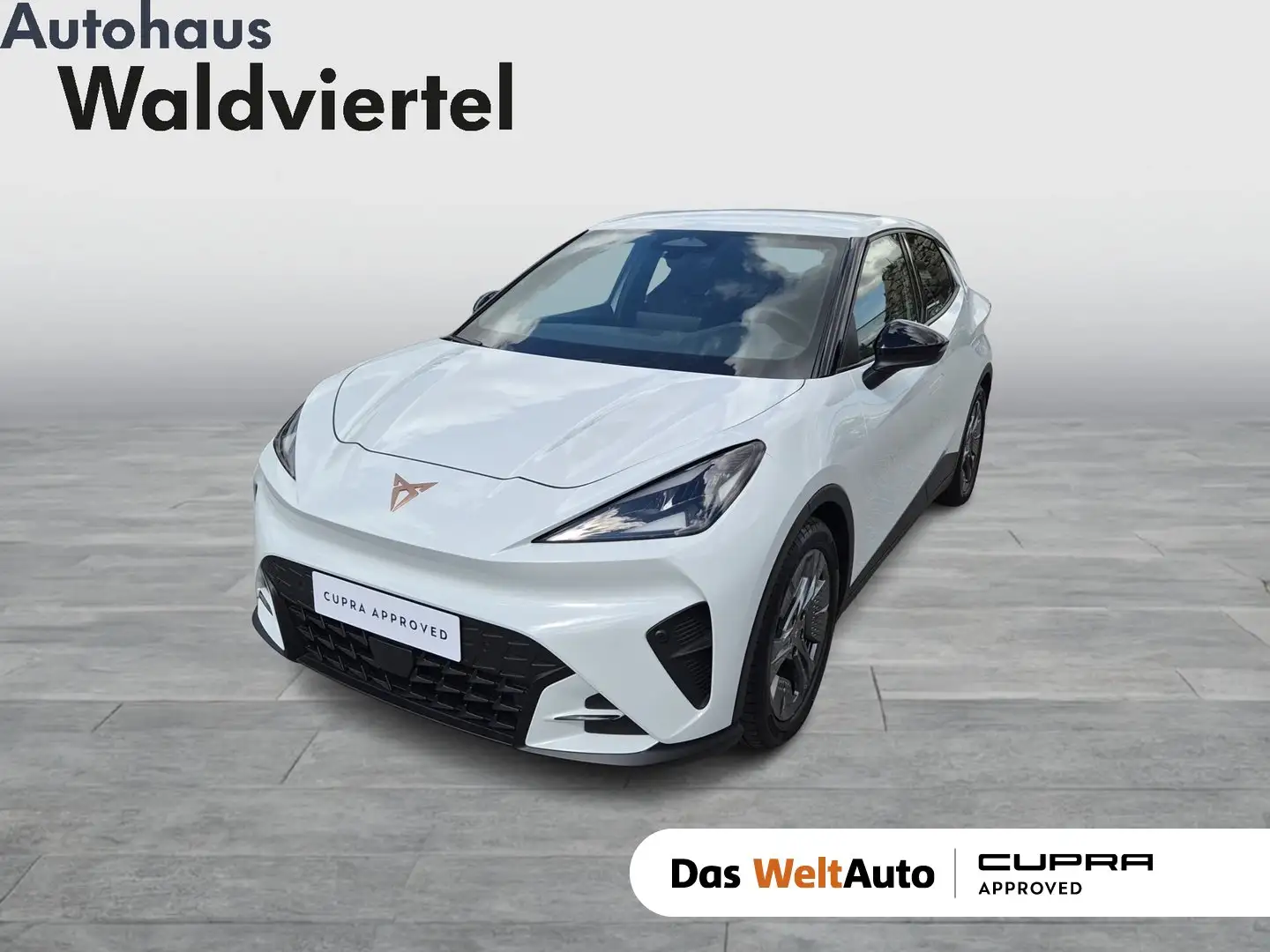 CUPRA Raval ENDURANCE 52/55 155kW/211 PS Weiß - 1