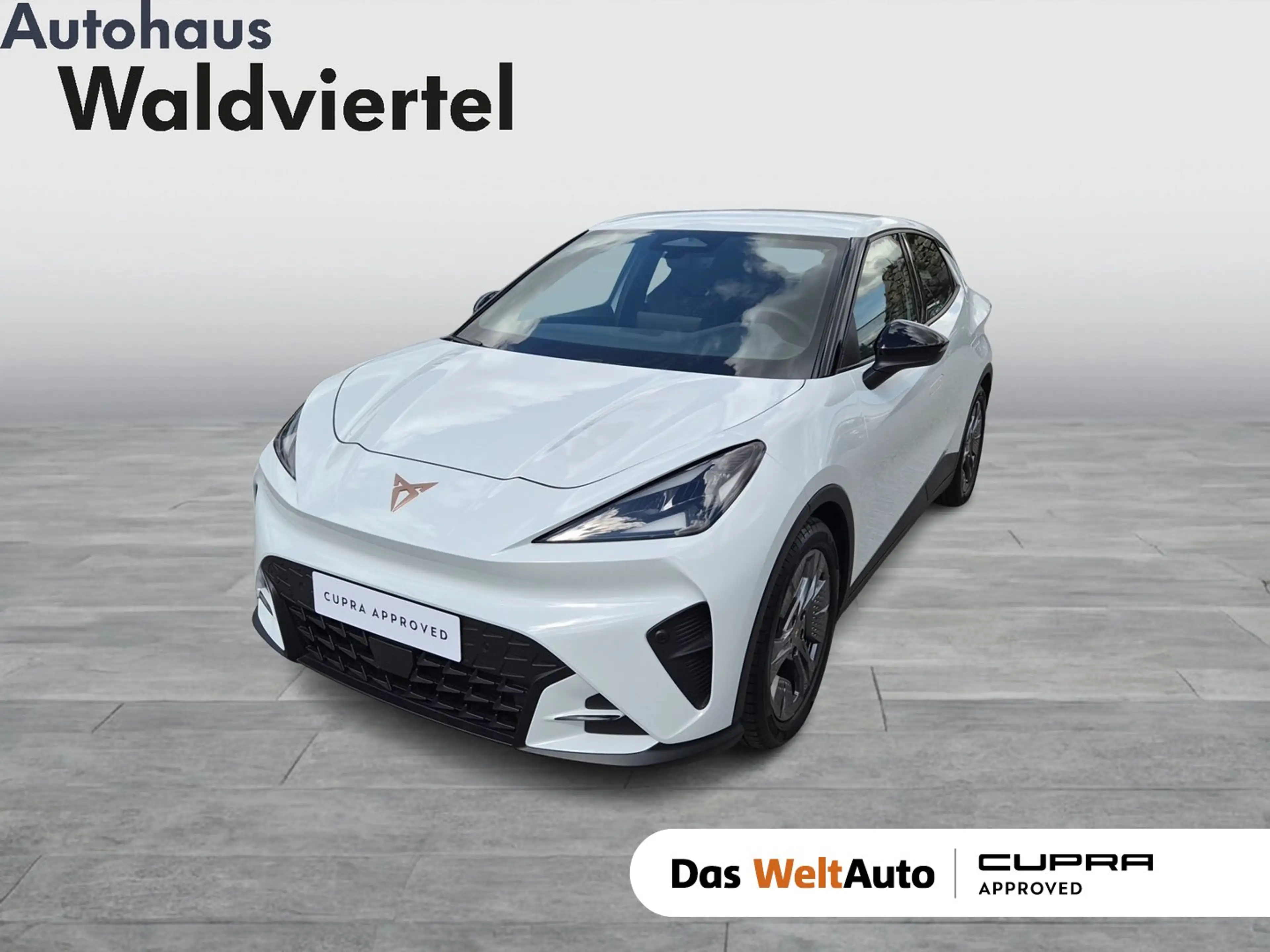 CUPRA Raval ENDURANCE 52/55 155kW/210 PS