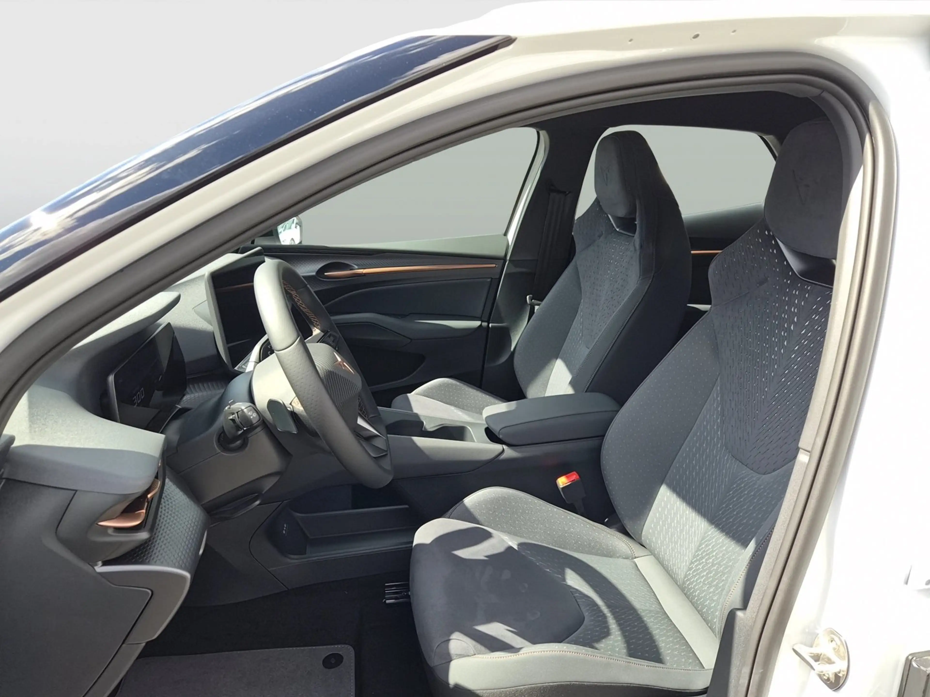 CUPRA Raval ENDURANCE 52/55 155kW/210 PS — photo 8