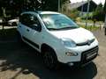 Fiat Panda TwinAir 85 4x4 Wild Weiß - thumbnail 6