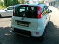 Fiat Panda TwinAir 85 4x4 Wild Weiß - thumbnail 9