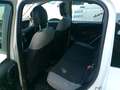 Fiat Panda TwinAir 85 4x4 Wild Weiß - thumbnail 12