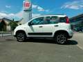 Fiat Panda TwinAir 85 4x4 Wild Weiß - thumbnail 1