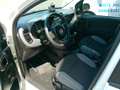 Fiat Panda TwinAir 85 4x4 Wild Weiß - thumbnail 14