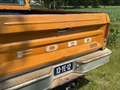 Ford F 100 BWJ 1976 Custom 460cui / 7,5l V8 PRACHTIGE F100 CU Oranje - thumbnail 20