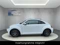 Volkswagen New Beetle Beetle Allstar BMT/1.HAND/DSG/NAVI/CAM/PDC/SHZ!! Blanco - thumbnail 9