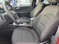 Ford Kuga 2.5 Duratec 190ch FHEV E85 ST-Line Business BVA Rouge - thumbnail 10
