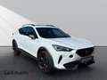 CUPRA Formentor 2.0 4Drive *Navi*LED*Pano*Winter*Beats* Weiß - thumbnail 3