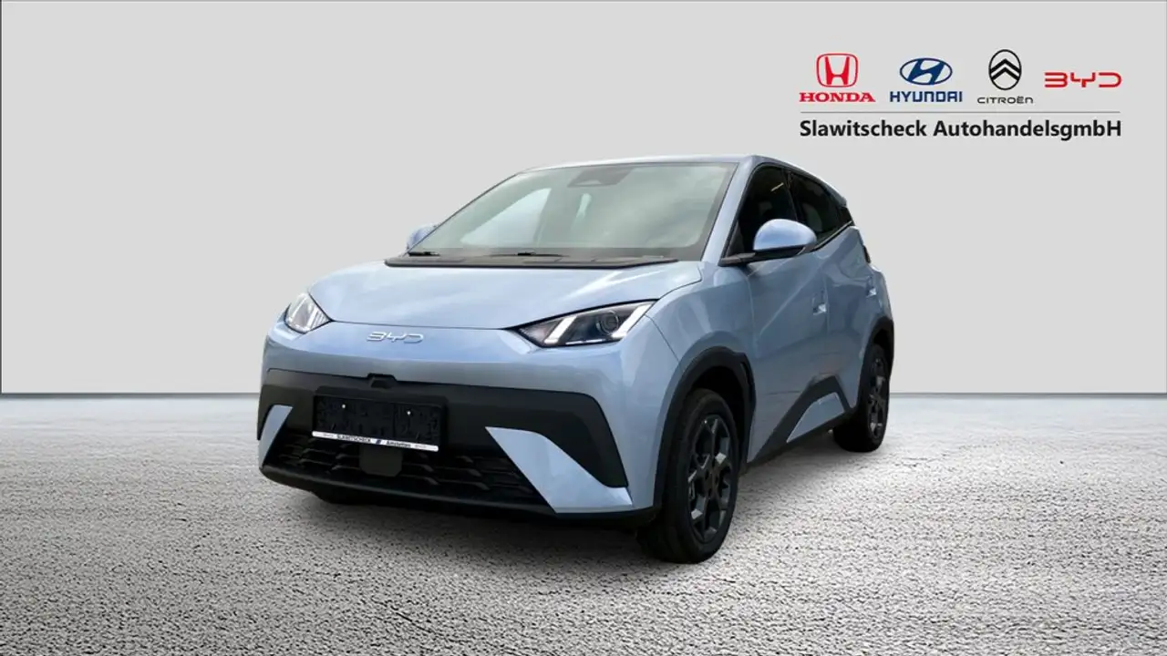 BYD Dolphin surf