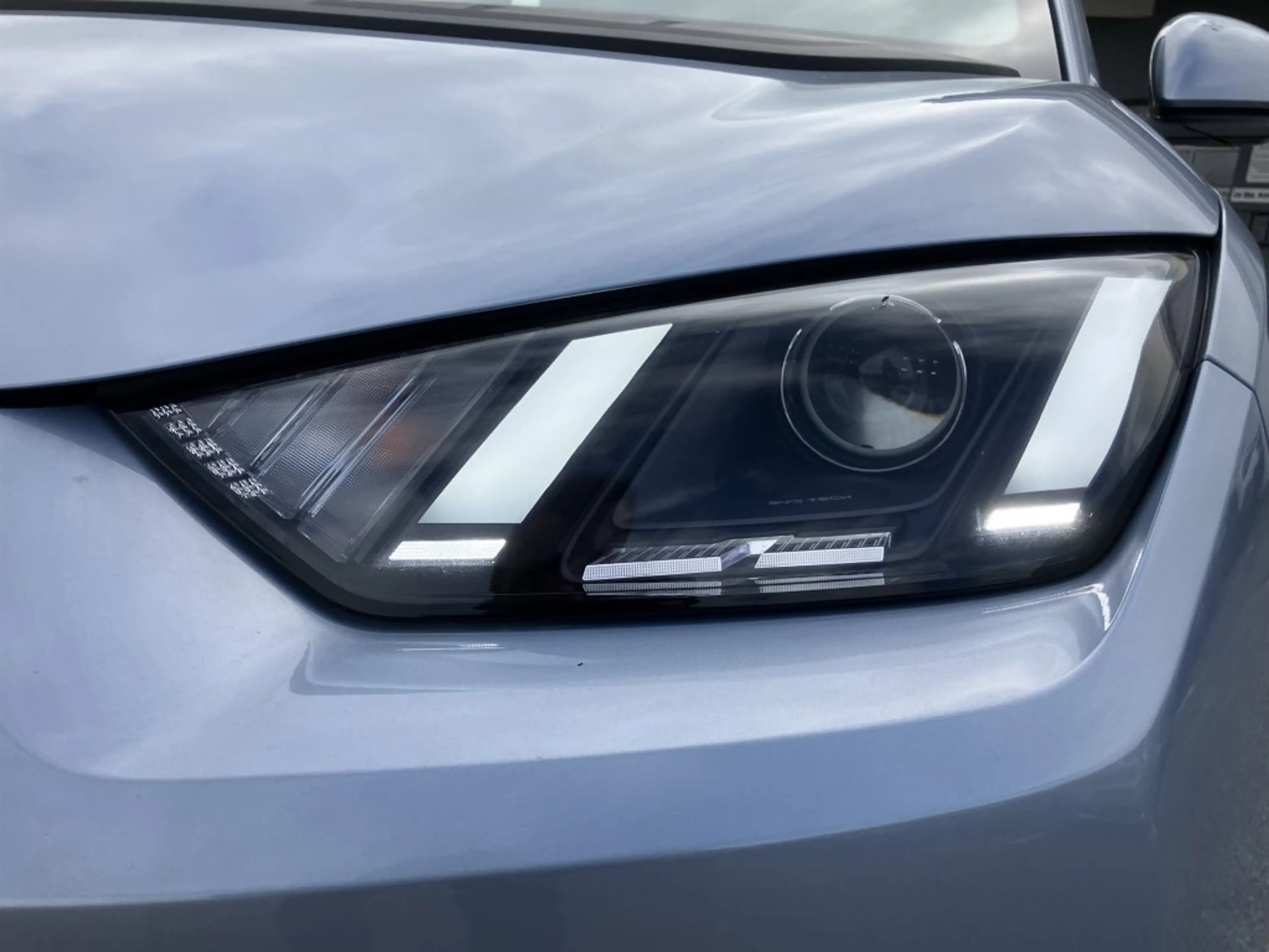 BYD Dolphin Surf Boost — photo 7